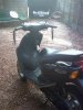 skooter 010.jpg