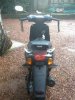 skooter 011.jpg
