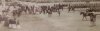 1. Garde-Rgt.z.F. (Parade am 30.5.1891 Potsdam) (3).jpg