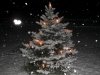 weihnachtsbaum2.jpg