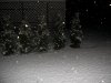 weihnachtsbaum3.jpg