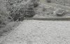 2004_0116Bild0001.jpg