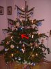 Weihnachtsbaum.jpg