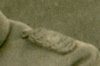 img786_3.jpg
