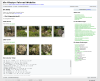 Screenshot 2025-03-18 at 22-41-53 OSR OSR Erster Weltkrieg (1914-18) Die Wildnis.png