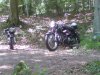 DSC00334.JPG