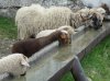 Bildschirmfoto 2017-05-21 um 09.47.50.JPG