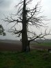 Hougoumont 15.JPG